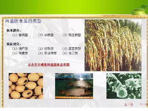 農(nóng)業(yè)部強(qiáng)化轉(zhuǎn)基因作物監(jiān)管，筑牢種子市場安全防線